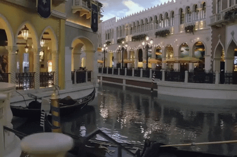 Canonita Las Vegas GIF