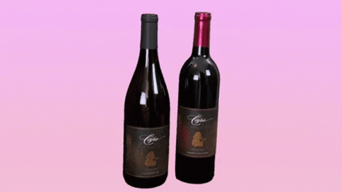 Capo Cagna Wine Time GIF