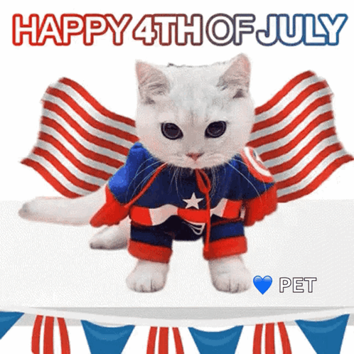 Captain America Cat Happy 4th of July Pet