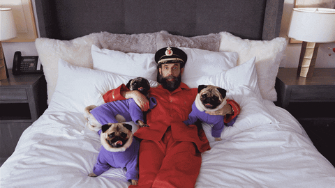 Captain Obvious With Dogs GIF