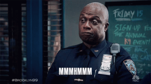 Captain Ray Holt Mhm GIF