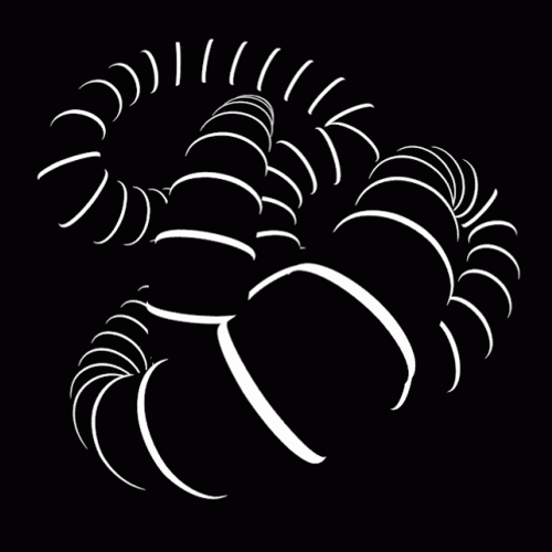 Captivating Octopus Spiral Lines Optical Illusions GIF