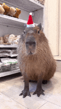 Capybara Christmas Gif GIF