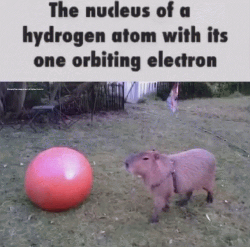 Capybara Meme Playing Ball GIF