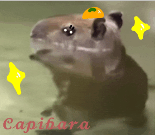 Capybara Meme GIF