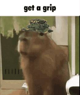 Capybara Wearing Hat Saying Get a Grip