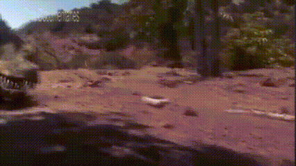 Car Driving Dirt Road Next To Forest GIF