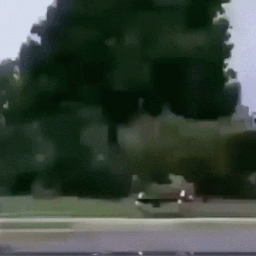Car Driving Down Road In Front Of Tree GIF
