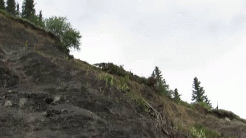 Car Driving Off Cliff And Crashing GIF