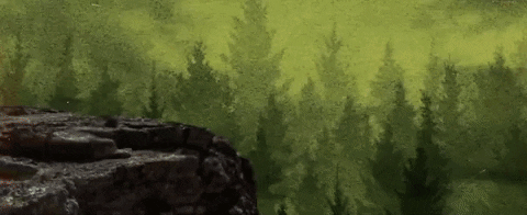Car Driving Off Cliff Shame GIF