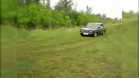 Car Driving Off Grassy Cliff Backwards GIF