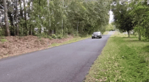 Car Driving On Road With Trees GIF