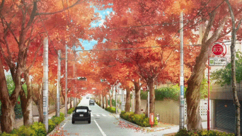 Car Driving on Tree-Lined Street With Stop Sign