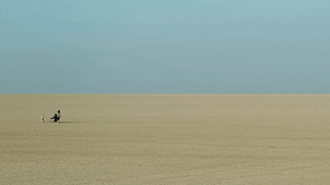 Car Driving Road Trip Desert GIF