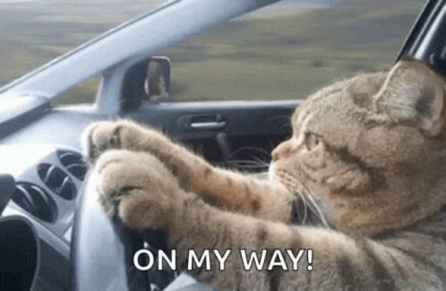 Car Driving With Im On My Way GIF