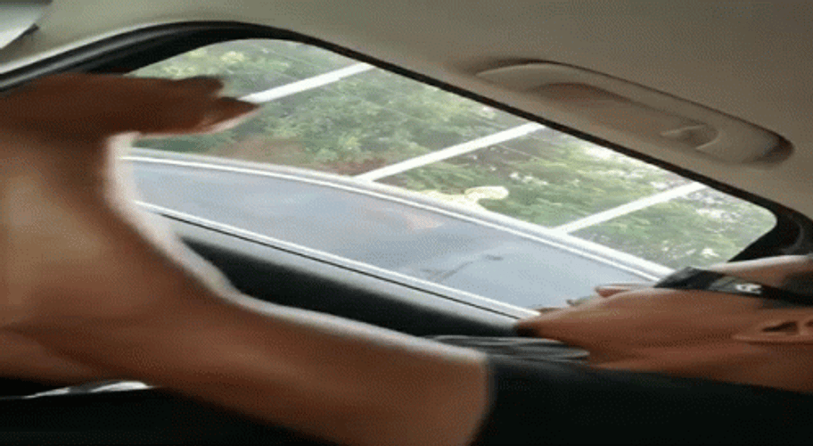 Car Driving With No Steering Wheel GIF