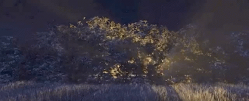 Car Exploding in Field at Night With Sparks