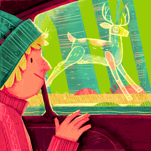 Car Kid Looking On A Deer No Crash GIF