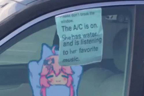Car Pet Inside Anime GIF