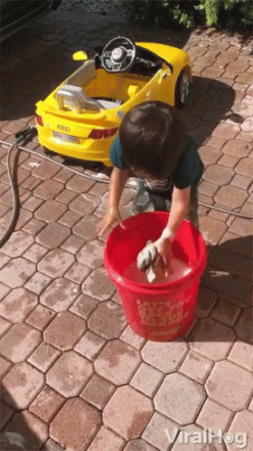 Car Wash 280 X 498 Gif GIF