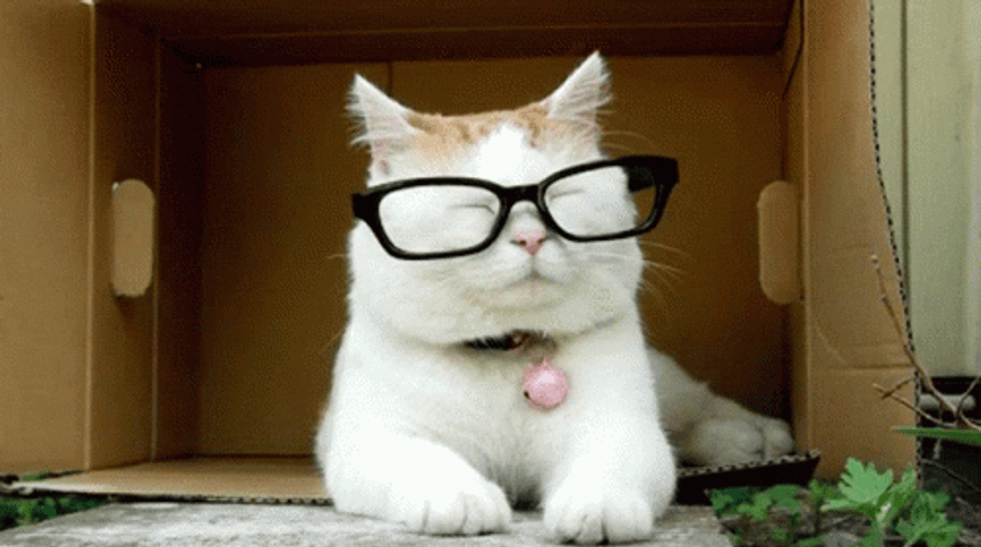 Car Wearing Glasses GIF