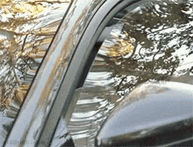 Car Windshield With Tree Reflection