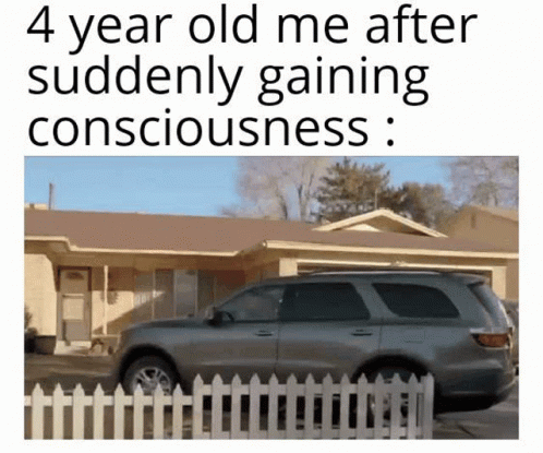 Car with Text 4 Year Old Me After Suddenly Gaining Consciousness