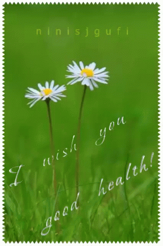 Card Saying I Wish You Good Health GIF