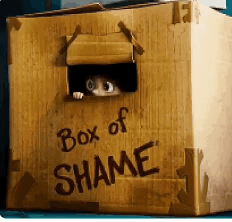 Cardboard Box of Shame With Cat