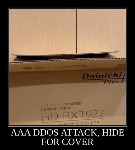 Cardboard Box Saying Dainich Plus HD-RXT922