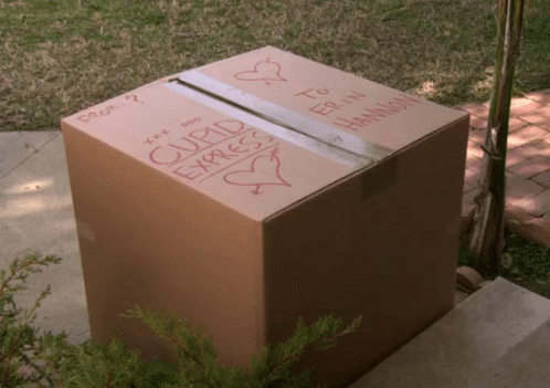Cardboard Box With Cupid Express GIF