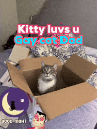 Cardboard Cat kitty luvs u gay cat dad