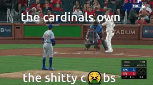 Cardinals Win Baseball Game