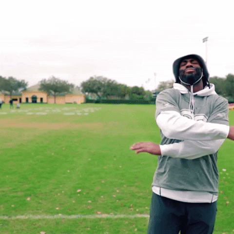 Carefree Matthew Judon Incomplete GIF