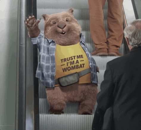 Carl Bear Gets Down Stairs Slips GIF