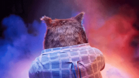 Carl Bear Surprise Covers Eye Candy GIF