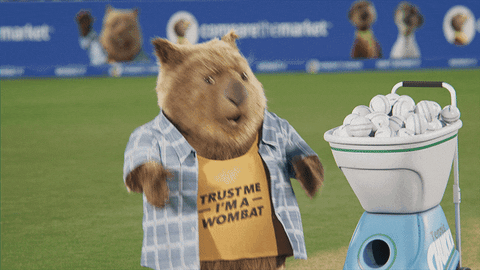 Carl Bear Worried Shooting Ball Machine GIF