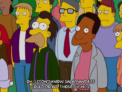 Carl Carlson Didn't Know Salamanders Could Do GIF