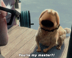 Carl Fredricksen Meets Dug You're My Master GIF