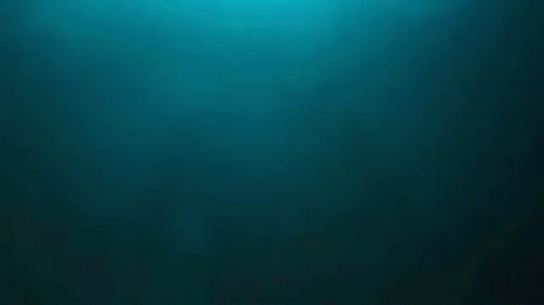 Carnage Scream 3d Movie GIF