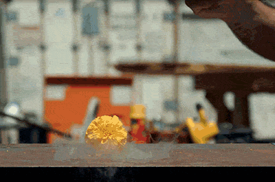 Carnation Frozen Hammer GIF
