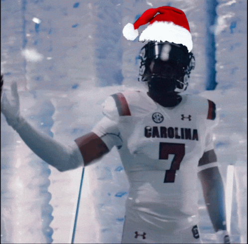 Carolina Gamecocks Christmas GIF