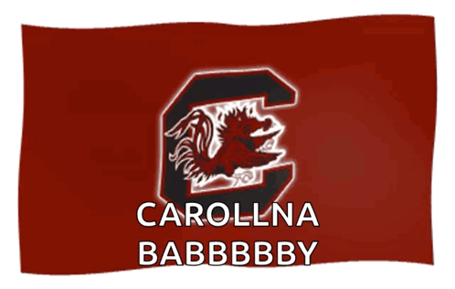 Carolina Gamecocks Flag Waiving GIF