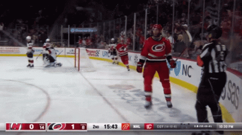 Carolina Hurricanes Vs New York Islanders Hockey Game GIF