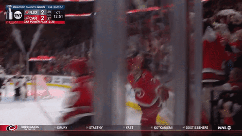 Carolina Hurricanes vs Washington Capitals Hockey