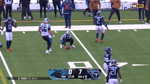 Carolina Panther Fox Nfl GIF
