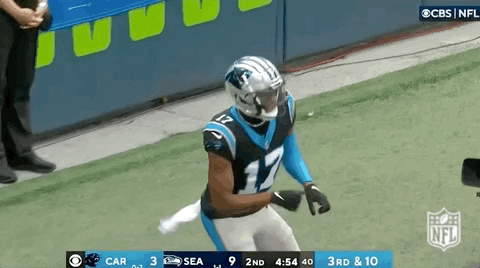 Carolina Panthers 480 X 268 Gif GIF