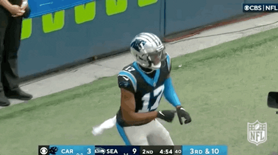 Carolina Panthers GIF