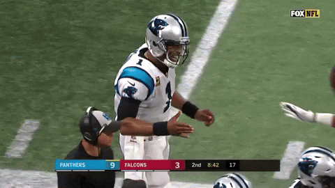 Carolina Panthers Cam Newton And Devin Funchess GIF