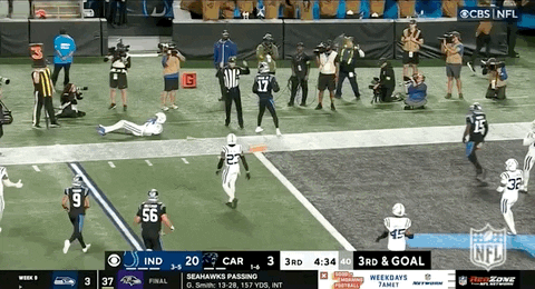Carolina Panthers Dj Chark Jr Touchdown GIF